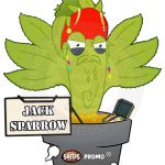 Jack Sparrow