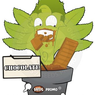 black domina, chocolate tai, cannalope haze