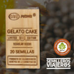 Gelato Cake