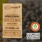 Mimozahh